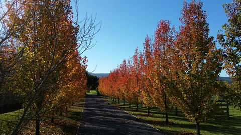 Tamar Valley Farm Stay - Accommodation Kalgoorlie 3