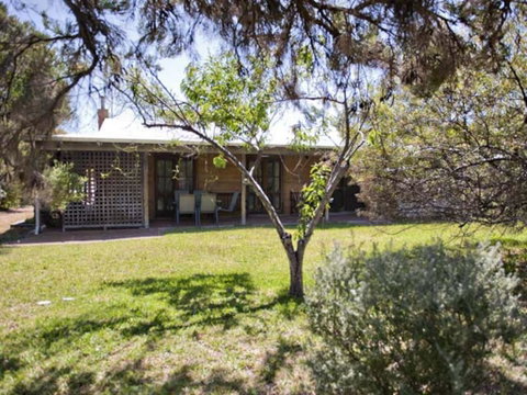 Tea Tree - Accommodation Kalgoorlie 1