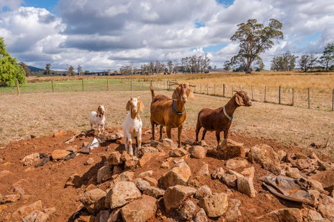 Glencoe Country Bed And Breakfast - Accommodation Kalgoorlie 36