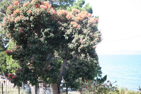 Wavestation - Accommodation Kalgoorlie 19