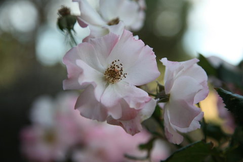 Wavestation - Accommodation Kalgoorlie 16