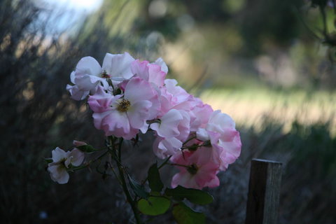 Wavestation - Accommodation Kalgoorlie 17