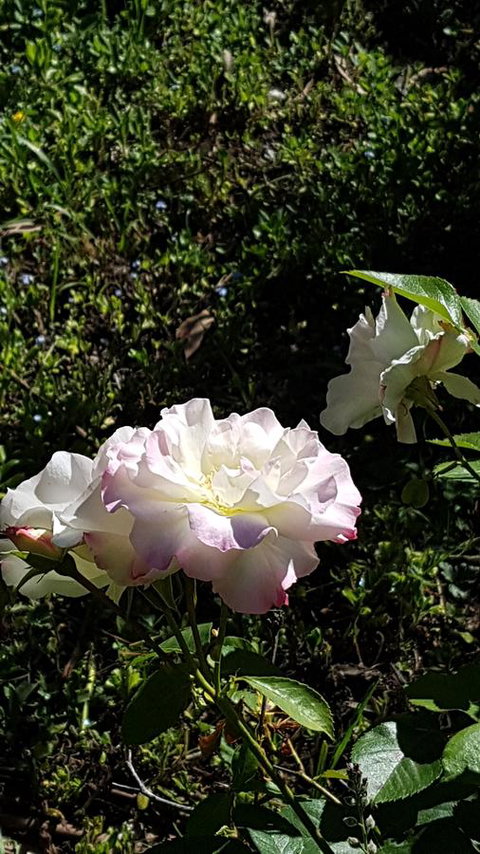 Wavestation - Accommodation Kalgoorlie 7