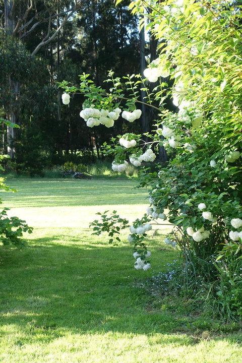 Wavestation - Accommodation Kalgoorlie 13