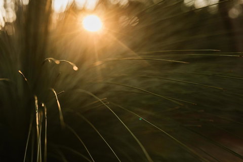 Bay Of Fires Bush Retreat - Accommodation Kalgoorlie 26