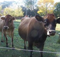 Drumreagh Bed  Breakfast Cabins - Accommodation Kalgoorlie