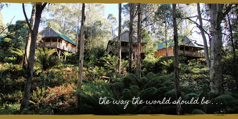 Lemonthyme Wilderness Retreat - Accommodation Kalgoorlie 20