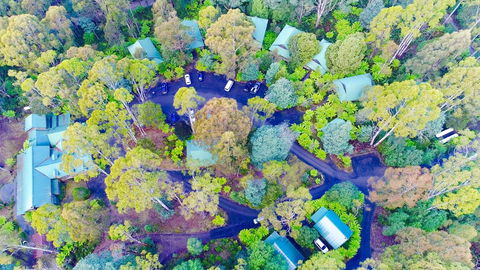Lemonthyme Wilderness Retreat - Accommodation Kalgoorlie 1