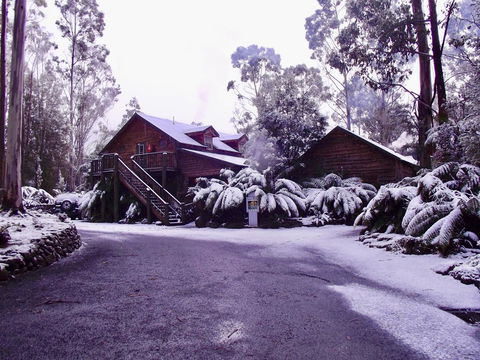 Lemonthyme Wilderness Retreat - Accommodation Kalgoorlie 12