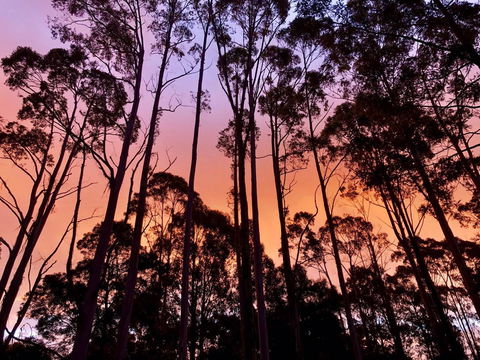 Lemonthyme Wilderness Retreat - Accommodation Kalgoorlie 8