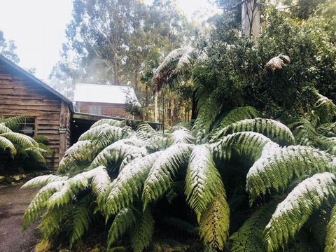Lemonthyme Wilderness Retreat - Accommodation Kalgoorlie 5