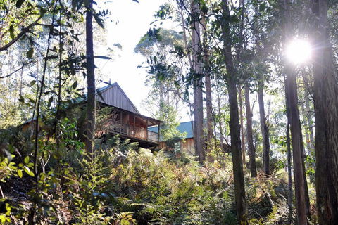 Lemonthyme Wilderness Retreat - Accommodation Kalgoorlie 25