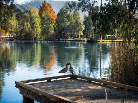 Peppers Marysville - Accommodation Kalgoorlie 12