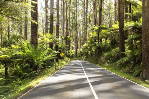 Peppers Marysville - Accommodation Kalgoorlie 21