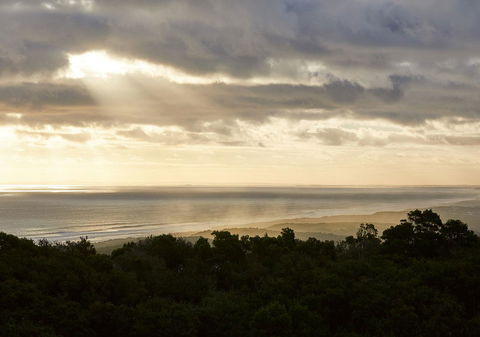 RACV Cape Schanck Resort - Accommodation Kalgoorlie 6