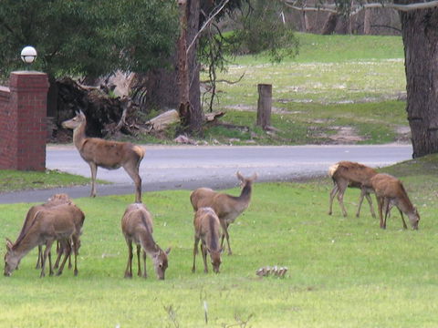 The Grampians Motel - Accommodation Kalgoorlie 23
