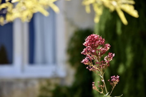 Villa Mallorca - Accommodation Kalgoorlie 28