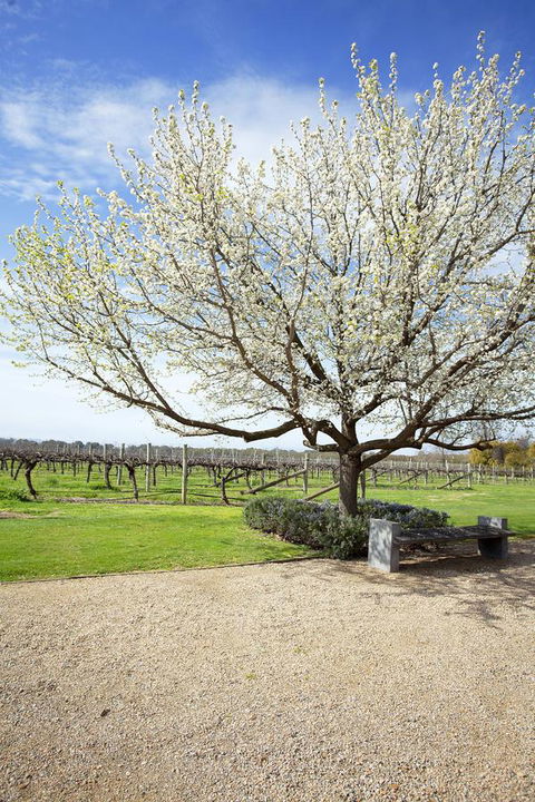 Lancemore Milawa - Accommodation Kalgoorlie 12