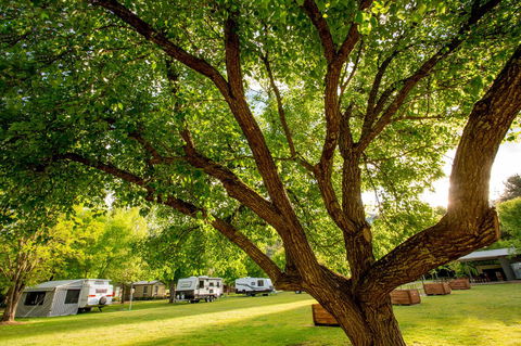 Discovery Parks - Bright - Accommodation Kalgoorlie 31