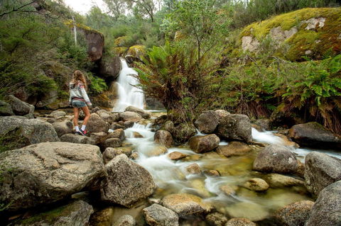 Discovery Parks - Bright - Accommodation Kalgoorlie 21