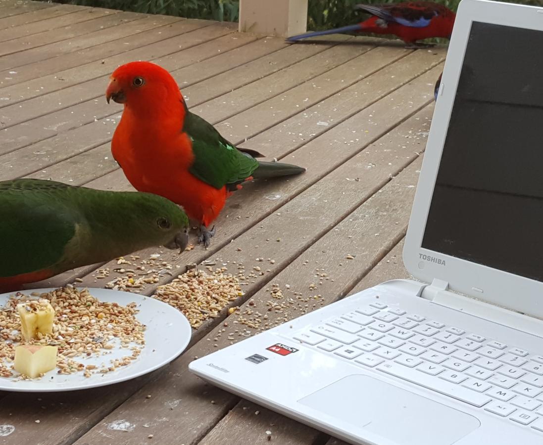  Accommodation Kalgoorlie