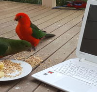 Wilsons Promontory Motel - Accommodation Kalgoorlie