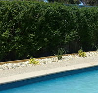 Robinvale Bridge Motel - Accommodation Kalgoorlie