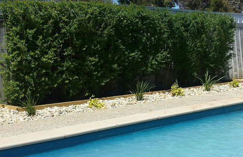 Robinvale Bridge Motel - Accommodation Kalgoorlie 0