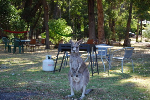 Gariwerd Motel - Accommodation Kalgoorlie 26
