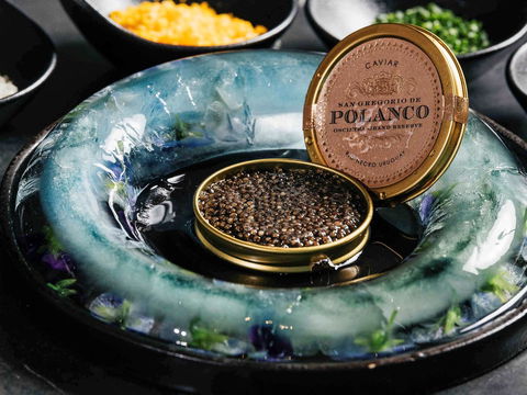 Sofitel Melbourne On Collins - Accommodation Kalgoorlie 41