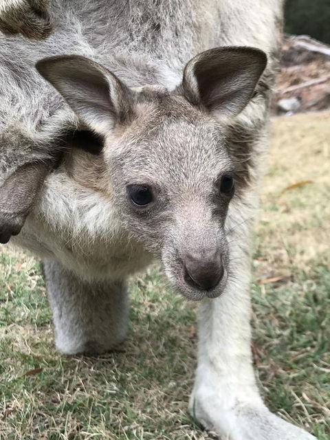Day Dream Cottage - Accommodation Kalgoorlie 13