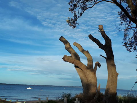 Apartments In Phillip Island Towers - Block C - Accommodation Kalgoorlie 10