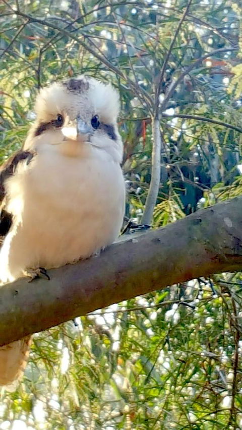 The Nature Resort Villas - Accommodation Kalgoorlie 22