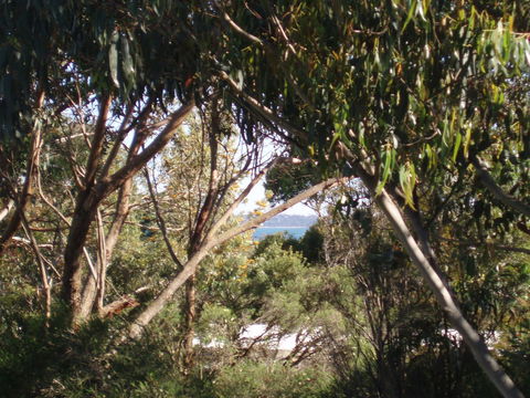 Aloha Ha Phillip Island - Accommodation Kalgoorlie 24