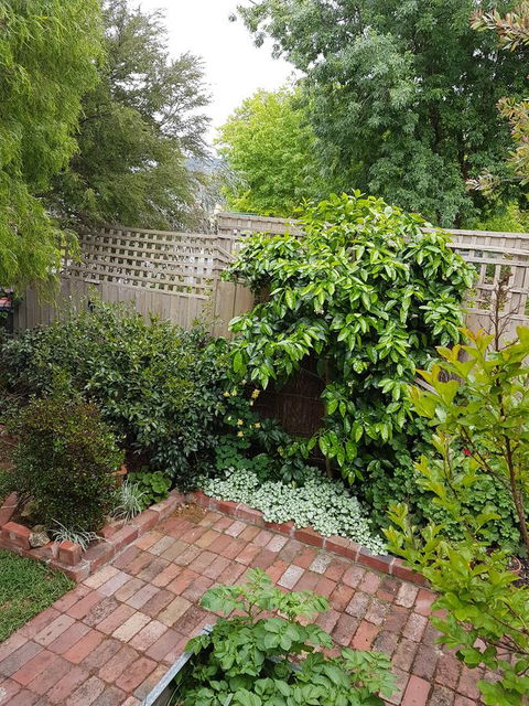 Healesville House - Fig Tree House - Accommodation Kalgoorlie 21