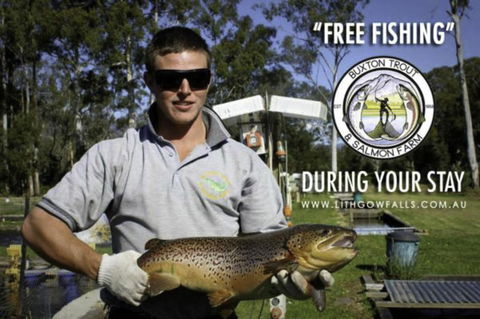 Lithgow Falls Marysville - Accommodation Kalgoorlie 14