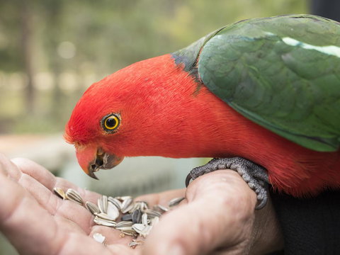 Gipsy Point Lodge & Cottages - Accommodation Kalgoorlie 17