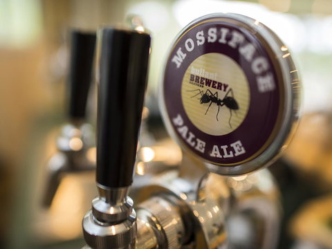 Gipsy Point Lodge & Cottages - Accommodation Kalgoorlie 16