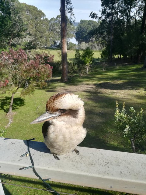 Gipsy Point Lodge & Cottages - Accommodation Kalgoorlie 8