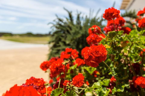 Cottages For Couples - Accommodation Kalgoorlie 13