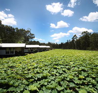 The Boathouses at Leaves  Fishes - Accommodation Kalgoorlie