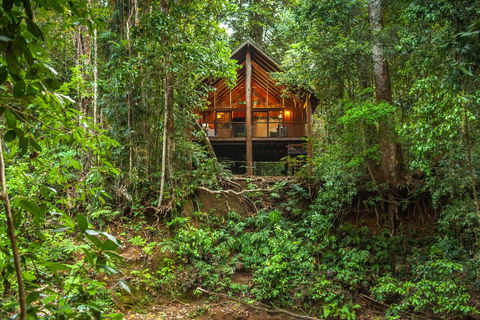 The Canopy Rainforest Treehouses & Wildlife Sanctuary - Accommodation Kalgoorlie 0