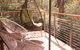 The Escarpment - thumb 3