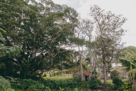 The Eumundi Dairy - Accommodation Kalgoorlie 1