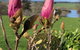 The Granary - thumb 3