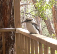 The Ledge Holiday House - Accommodation Kalgoorlie