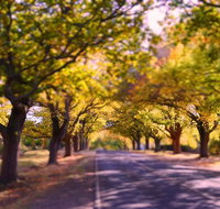 The Shelter Shed Garden Studio Apartment - Accommodation Kalgoorlie