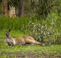 The Stirling Golf Club - Accommodation Kalgoorlie