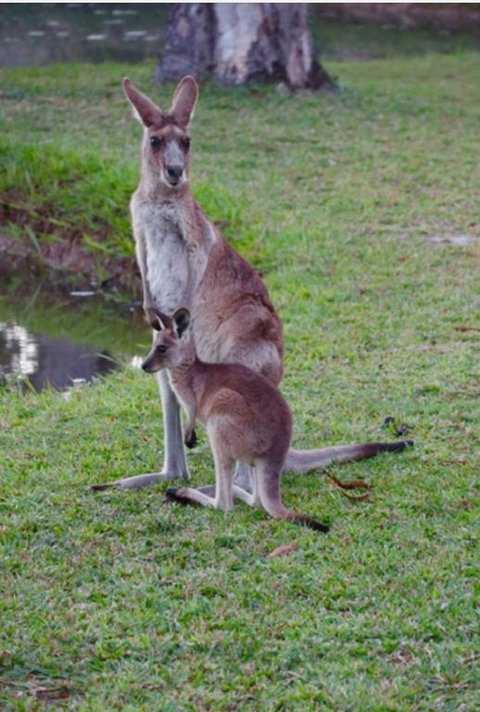 The Zen Den Adults Only - Accommodation Kalgoorlie 3