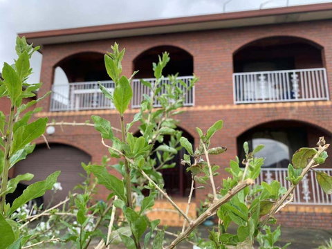 Thomastown Antique House Room 3 - Accommodation Kalgoorlie 1